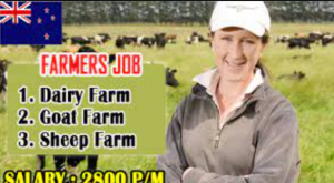 FARM JOBS Hiring In New Zealand 2022: