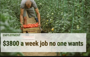Farm Worker Jobs in Australia 2022: