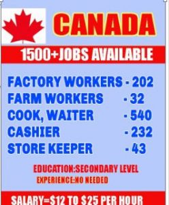 Factory Worker Jobs in Canada 2022: