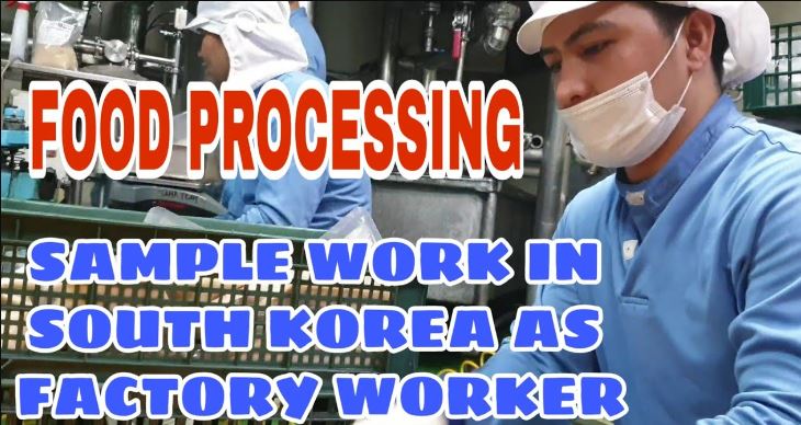 Factory Worker Hiring in South Korea