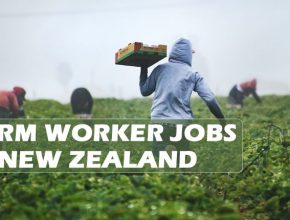 Farm JOBS in New Zealand