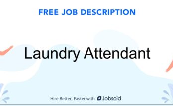 Laundry Staff Job Hiring 2023