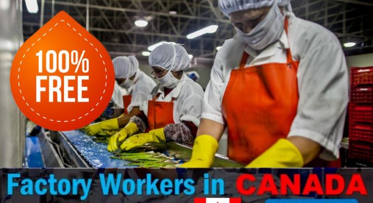 Hiring in Canada For Factory Workers 2023