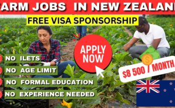 Urgent Farm Worker Hiring in New Zealand - 2024